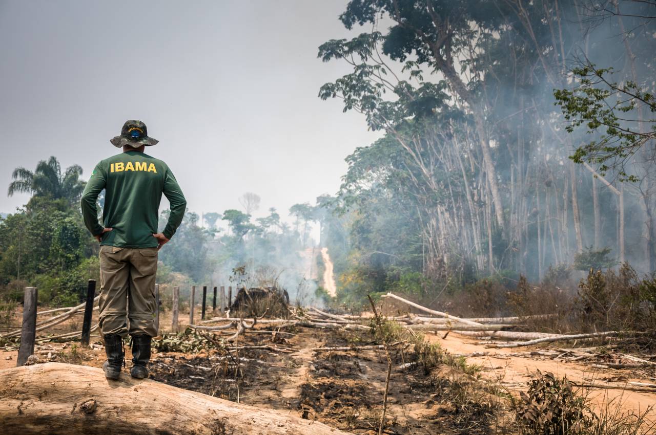  Amazzonia devastata da incendi e deforestazione - ©archivio amazonia ets)