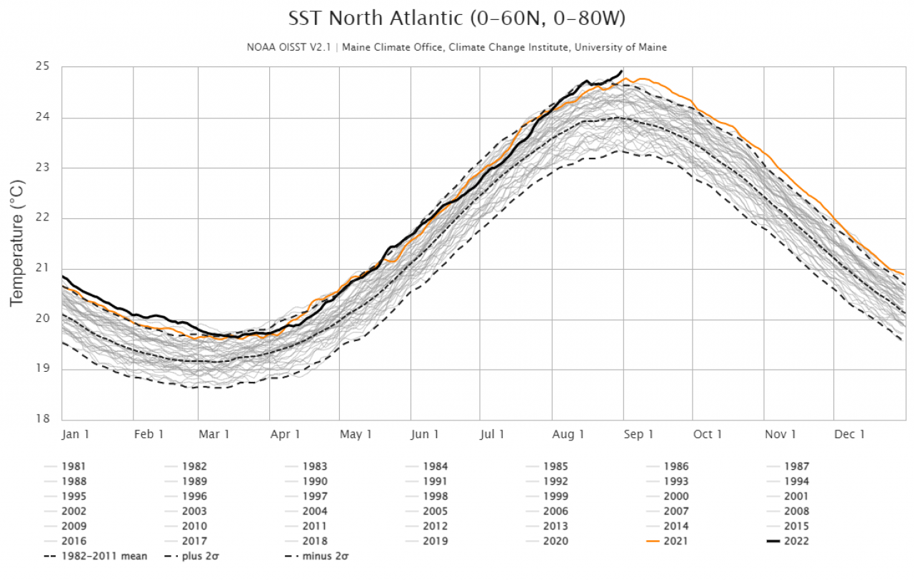 Anomalie °C Nord Atlantico (cortesia Maine Climate Office)