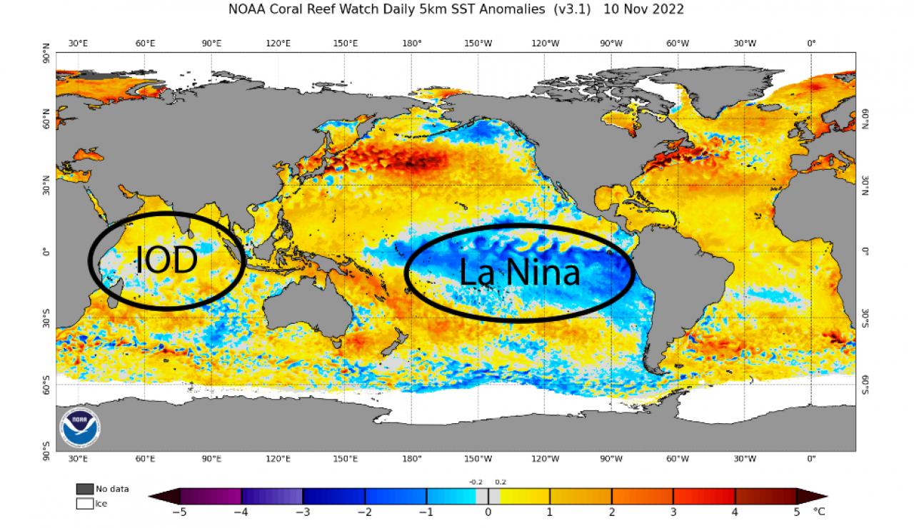 Anomalie temperature oceaniche, fonte Noaa