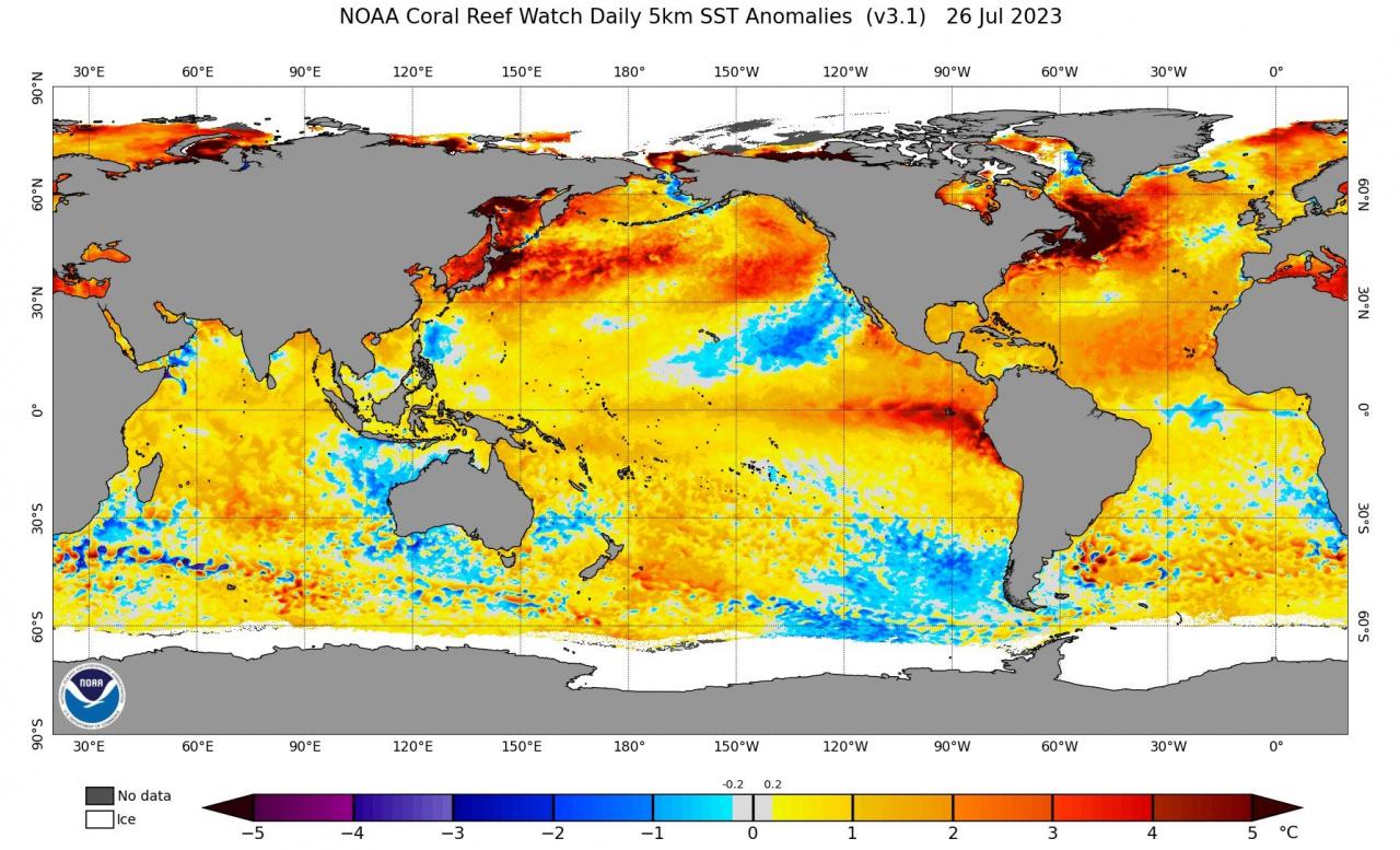 anomalie temperature oceaniche fonte Noaa