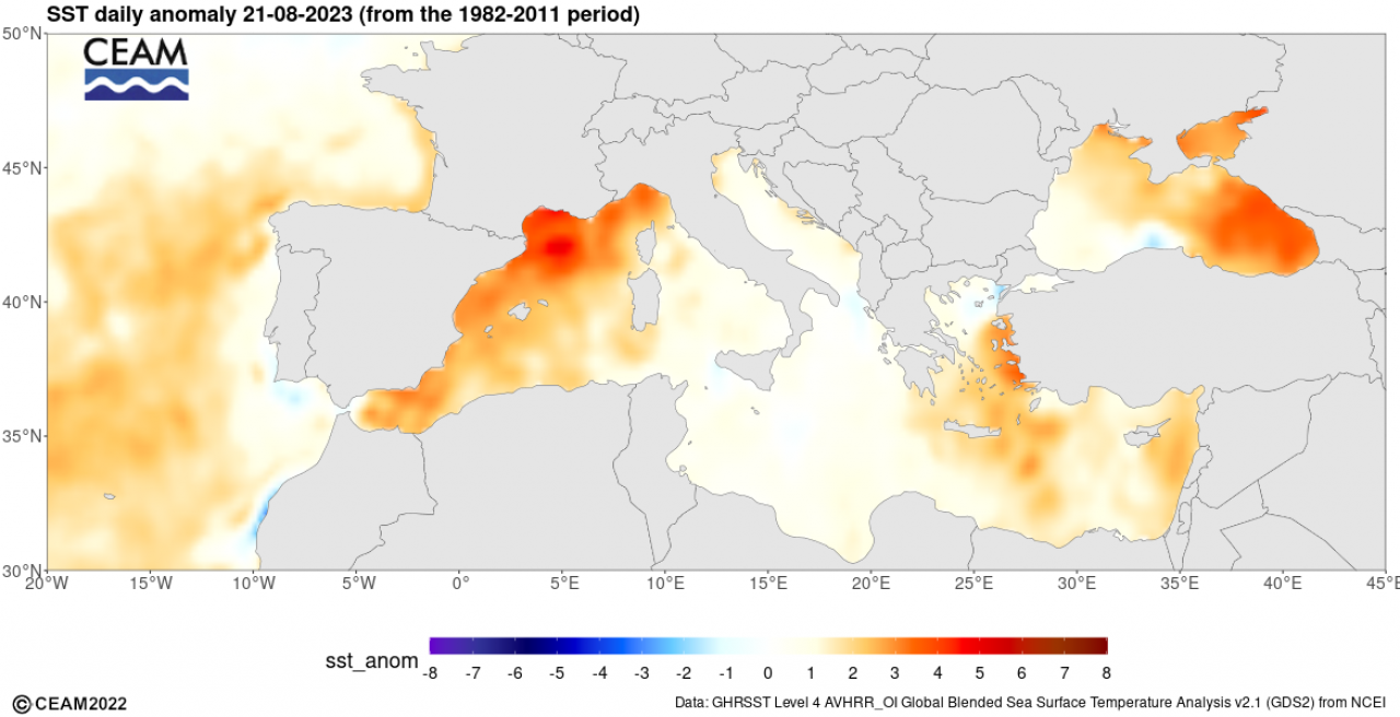 Anomalie termiche del Mediterraneo (Fonte: Ceam)