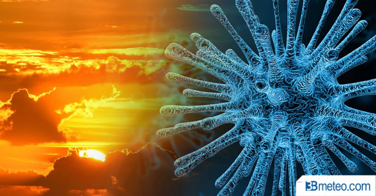Clima e coronavirus, esiste una relazione tra le temperature dell'aria e la sua diffusione? Sembra di si
