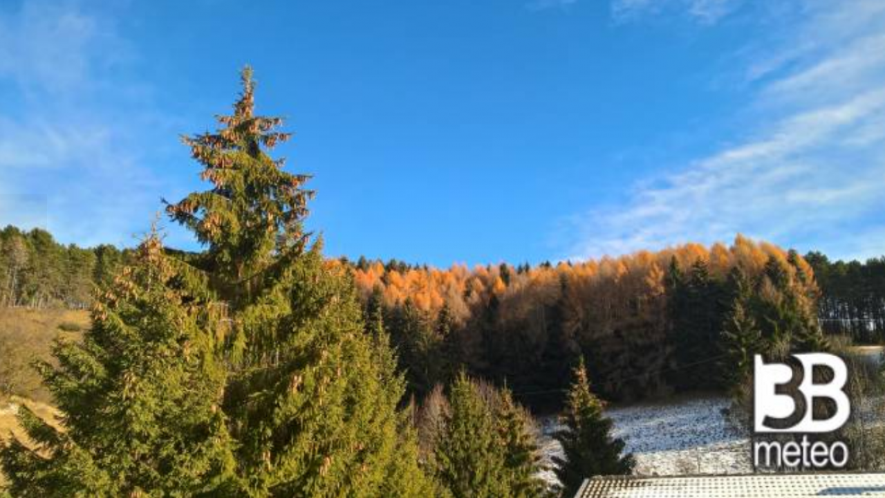 Cresce la copertura di boschi e foreste in Italia