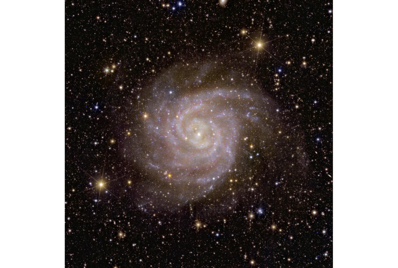 Galassia a spirale IC 342 vista dalla missione Euclid - ESA