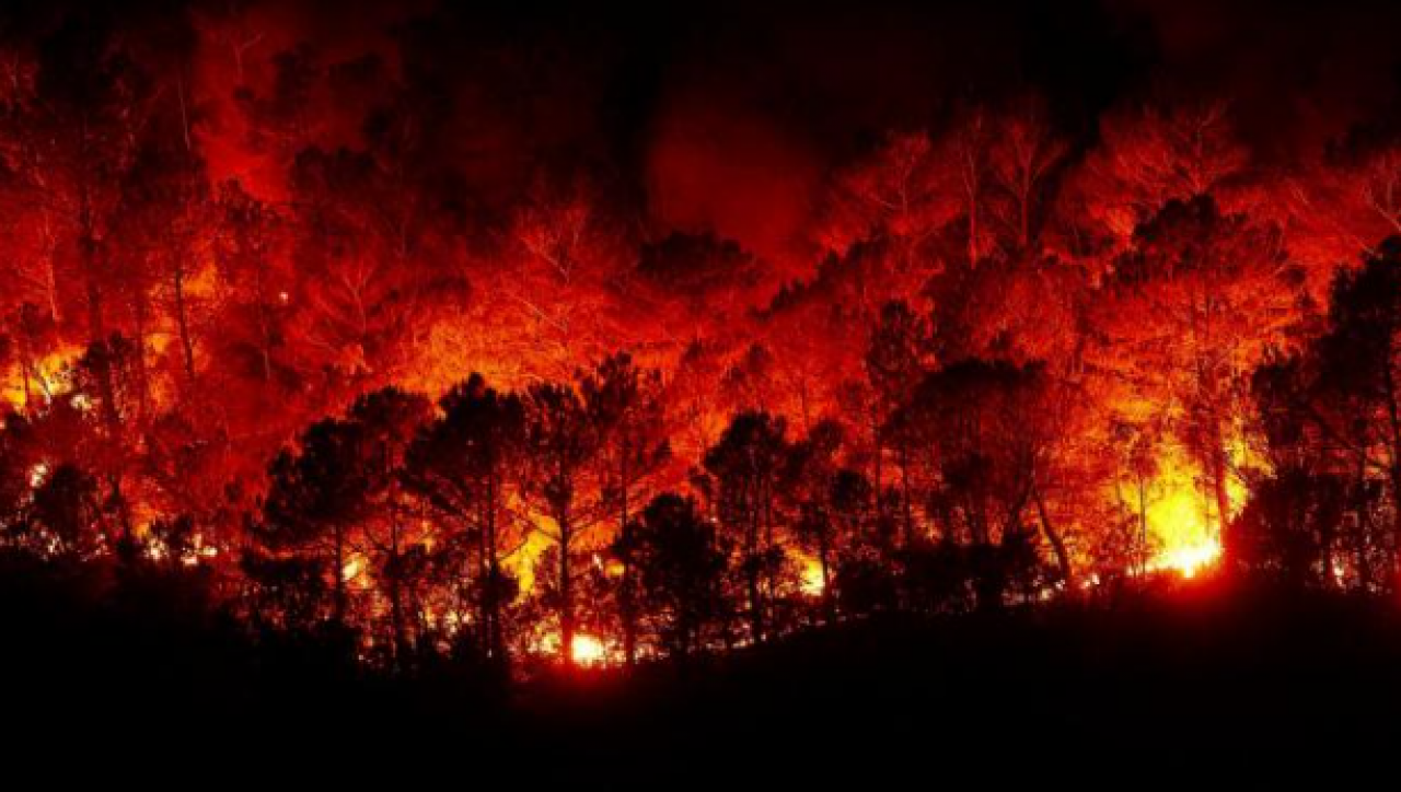 Cronaca mondo. USA. incendi in California, distrutte 20 case, evacuazioni