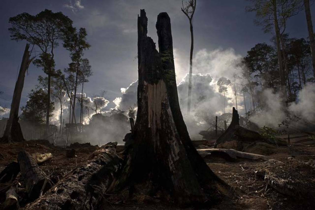 L'Amazzonia subisce numerosi incendi, principalmente indotti dall'attività umana. ©Emiliano Mancuso