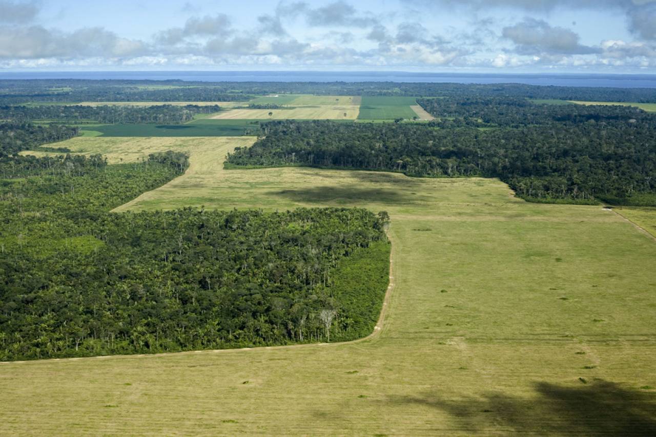 La deforestazione dell'Amazzonia per far spazio alla coltivazione della soia. ©Emiliano Mancuso