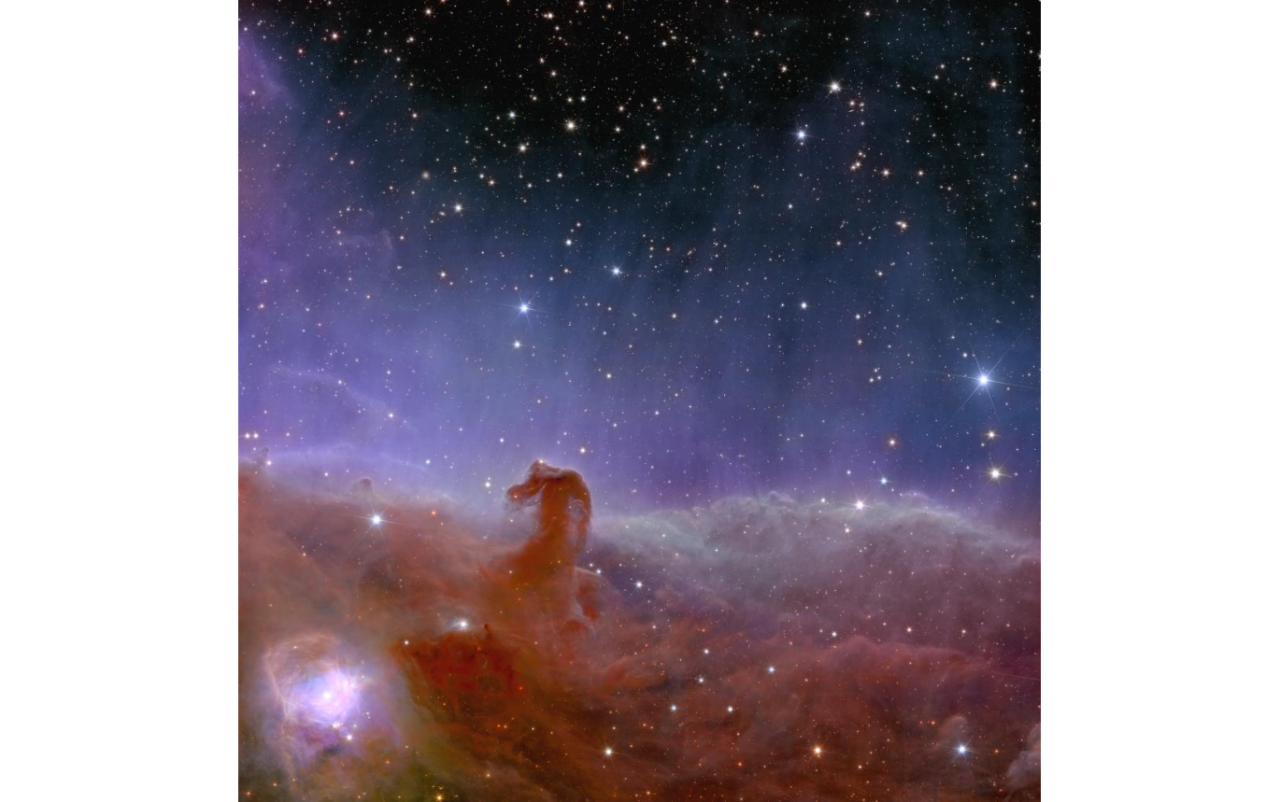 La Nebulosa Testa di Cavallo vista da Euclid - ESA