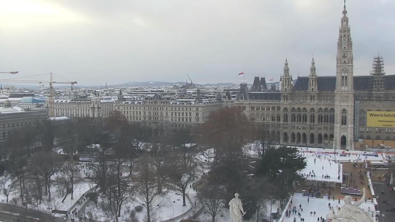Neve a Vienna