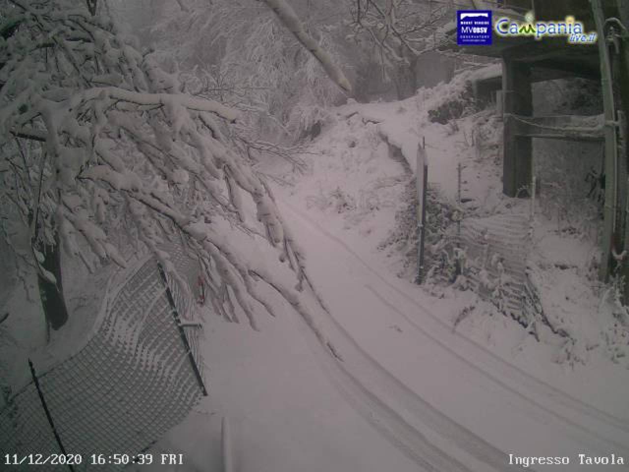 Nevicate sul Monte Partenio (Campania)