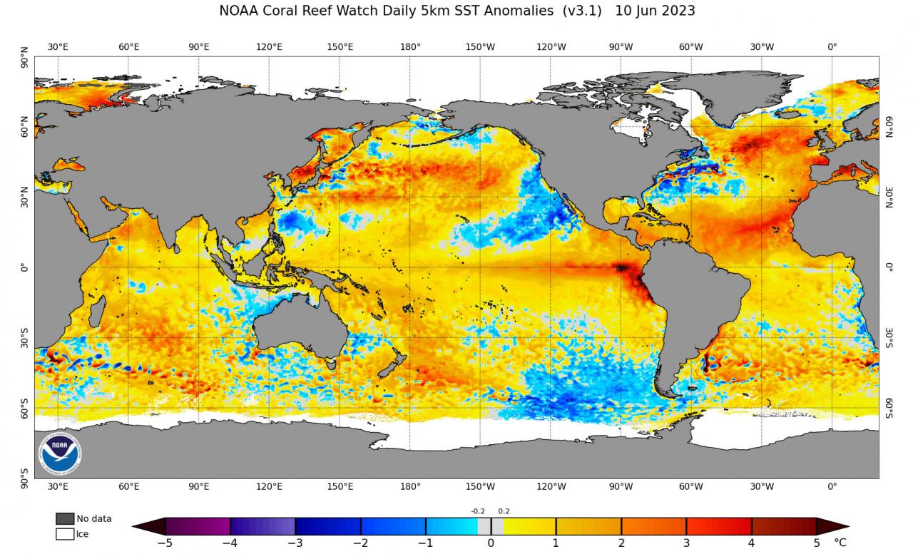Océanos, anomalías de temperatura Fuente NOAA