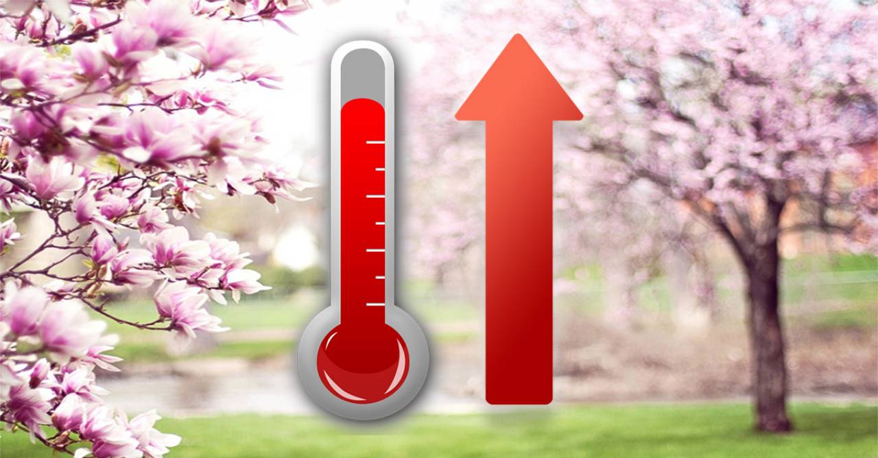 Temperature in rialzo in settimana, su valori da primavera avanzata