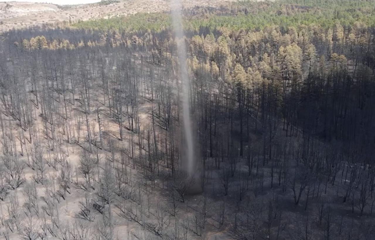 Tornado di cenere su una foresta bruciata in Arizona