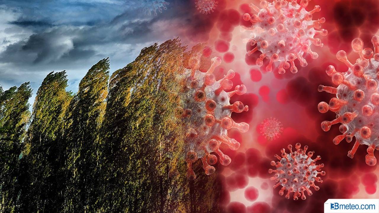 Vento e Coronavirus, come si comportano le goccioline emesse dai colpi di tosse