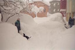 Il Burian di fine Dicembre 1996 scaricò fino ad un metro se non oltre di neve fresca sulle interne adriatiche
