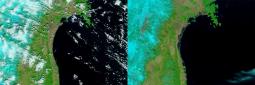 Giappone: tsunami visto dai satelliti