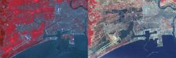 Giappone: tsunami visto dai satelliti