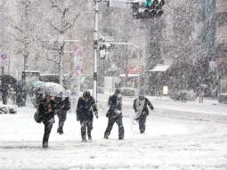 Bufere di neve a Tokyo