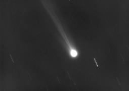 recente immagine della cometa by Nick Rose