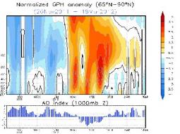 Sezione verticale del vortice polare. Notare il riscaldamento stratosferico tra fine gennaio e prima parte di Febbraio e la AO conseguentemente negativa