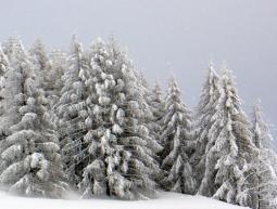 Torna la neve sulle Dolomiti da Lunedì!