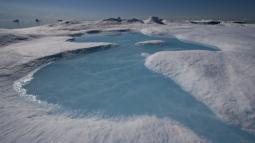 I ghiacci artici nel Nord Ovest della Groenlandia 