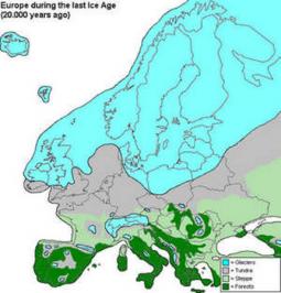 Situazione in Europa durante il Pleistocene