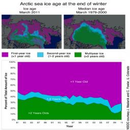 Sopra la distribuzione di ghiaccio vecchio, in verde, e quello nuovo, in viola, nel Marzo 2011 rispetto a quella media degli anni 80-90. Sotto le percentuali nelle ultime decadi. Fonte Nationa Snow and Ice Data Center