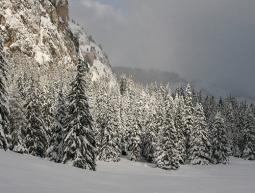 Previsioni Alpi Domenica: torna la neve sotto i 2000m! 