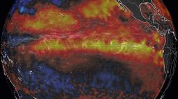 Anomalia superficiale delle acque del Pacifico, fonte immagine Earth Simulator