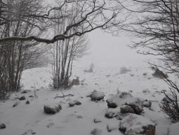 Nuove nevicate attese sul Pollino