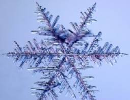 cristallo dendritico : temperatura intorno -15°C 