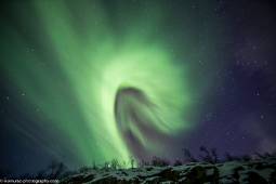 Spettacolare aurora boreale immortalata in Lapponia proprio oggi da Rayann Elzein. www.rez-photography.com
