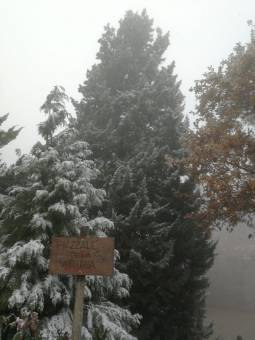 Neve in corso sulla collina di Torino - Colle della Maddalena dai 500m 