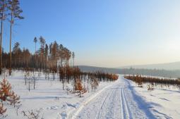 Cronaca - Estensione della copertura nevosa a livelli record nell Emisfero Nord; raggiunti i primi -50Â°C di stagione sulla Yakutia