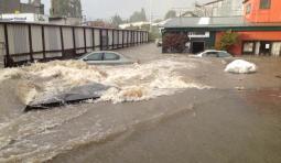 Nuova Zelanda: Auckland colpita da pesanti inondazioni