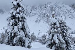 &#10052;&#65039;Alpi sommerse dalla neve e non Ã¨ ancora finita. Situazione e previsione per i prossimi giorni