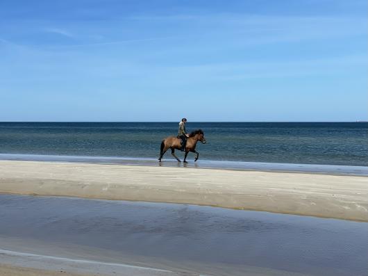 A cavallo sulle spiagge di Jutland