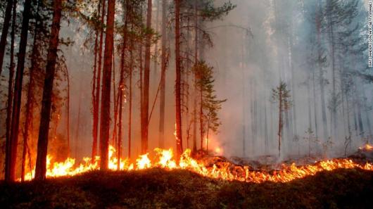 Almeno 80 incendi stanno distruggendo le foreste della Svezia