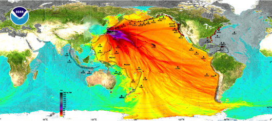 Altezza onde tsunami