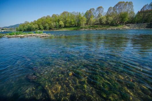 Ambiente e Coronavirus, Il fiume Po torna pulito come non si era mai visto (ansa)