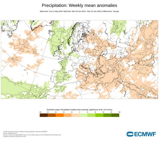 anomalie precipitazioni Ecmwf