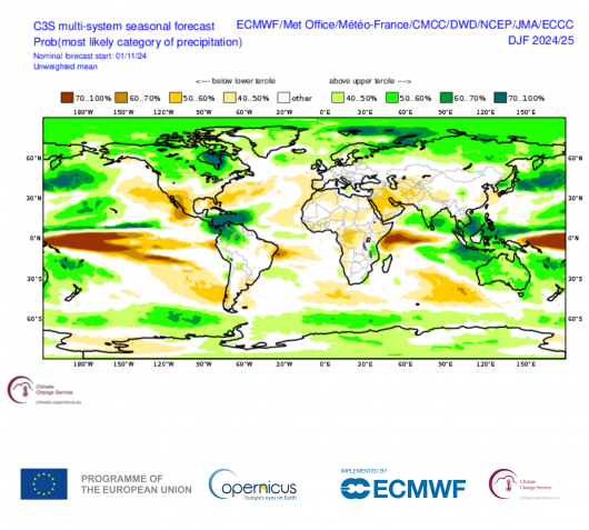 Anomalie stagionali di precipitazioni - fonte Copernicus