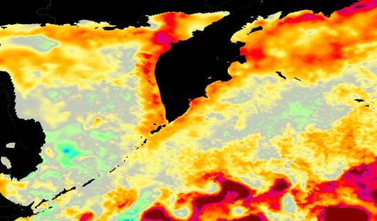anomalie temperature mare
