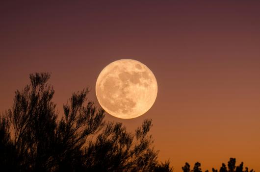 Arriva la Superluna del Castoro