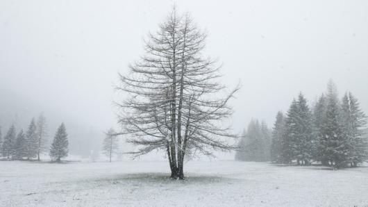 Attesa neve a bassa quota sull'Europa centro-settentrionale