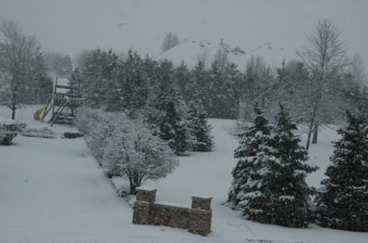 Bufera di neve tardiva nel Midwest - USA - 29 marzo 2009 (Immagine di watcherofweasels)