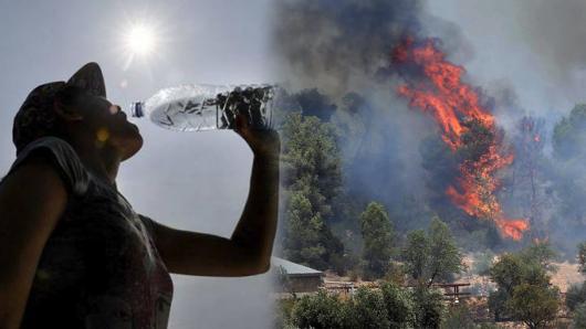 Caldo record e incendi devastanti in Europa