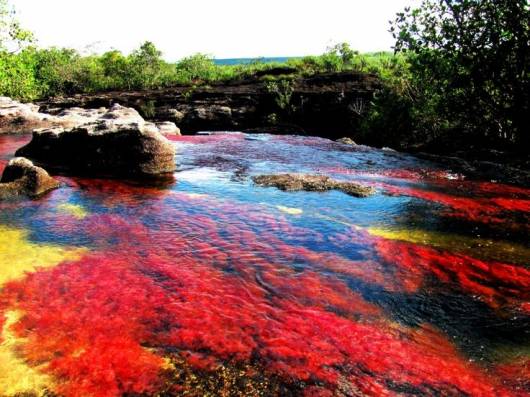 Cambiamenti climatici, a rischio il fiume arcobaleno in Colombia