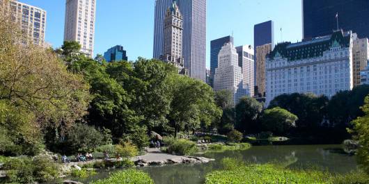 Central Park è un polmone verde per i Newyorchesi